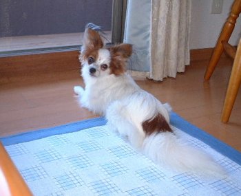 ���[�������ł���I